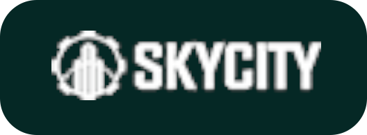 스피드카지노 파트너사 10